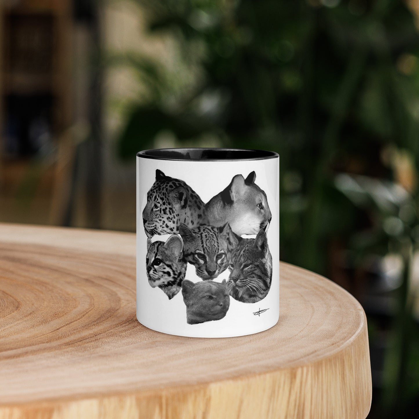 "Cats of southern U.S. & Mexico" -  Coffee Mug